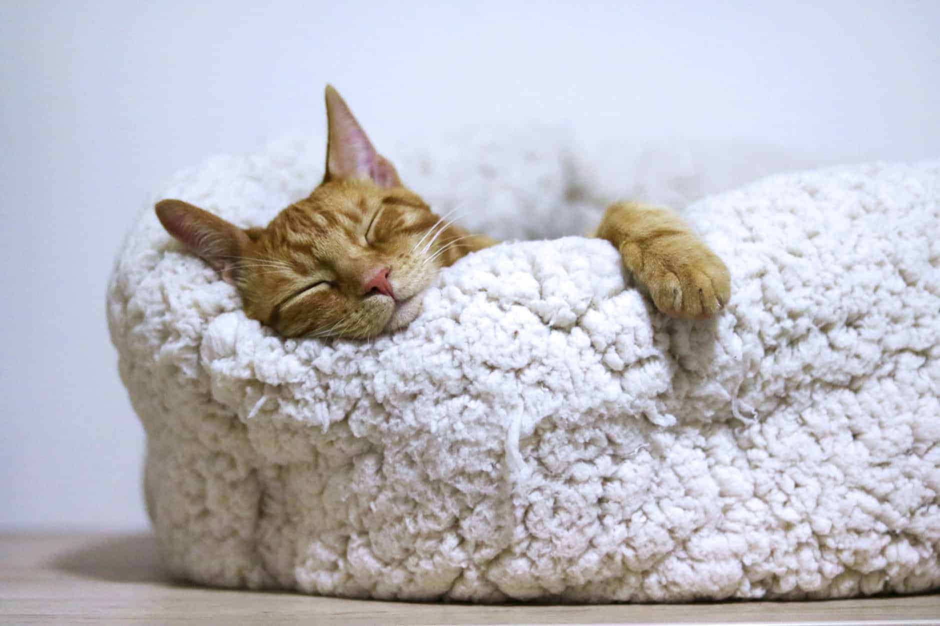 A Guide to Better Sleep